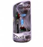 Лампа EVO H8-12-75 SPECTRAS 5000К (набор 2шт H8+2штW5W) (4)