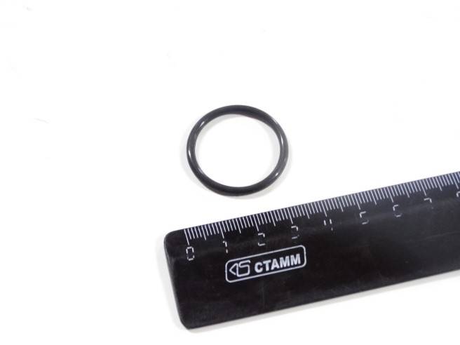 Кольцо уплотнительное корпуса термостата /Г-3302 Cummins ISF 2,8)