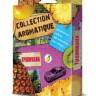 Освежитель (ароматизатор) под сиденье COLLECTION AROMATIQUE Ананас тропикана (200г) (Fouette) (40)