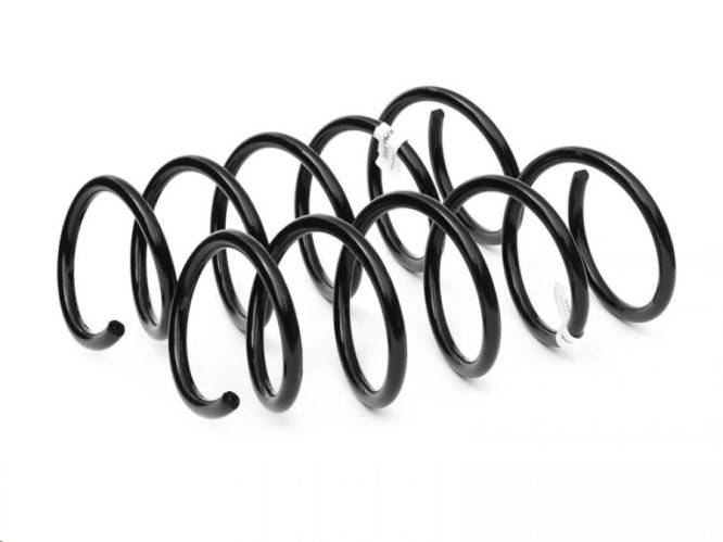 Пружина перед. подвес. Renault Duster 4x4 (Asam) Пружина перед. подвес. Renault Duster 4x4 (Asam)