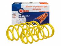 Пружина подвески 2170 Priora ФОБОС передняя (2шт.) 