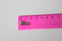 Винт датчика холостого хода для ВАЗ 2108-10, 2170 Приора, 1118 Калина (М 4х15) с гровером (БелЗАН) Винт датчика холостого хода для ВАЗ 2108-10, 2170 Приора, 1118 Калина (М 4х15) с гровером (БелЗАН)