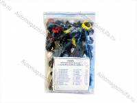 Пистоны крепления 1118 Калина полный комплект на а/м (Сызрань) Пистоны крепления 1118 Калина полный комплект на а/м (Сызрань)