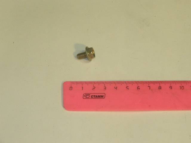 Болт М 6*10 крепления спойлера 2115 /с зуб.коронкой/ (уп.10 шт.) (БелЗАН)