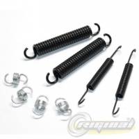 Пружина колодок задн. /2108/ 8 шт. набор (Riginal)