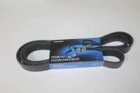 Ремень генер. /Г-3302 дв. Cummins/ 8РК- 2015 (TANAKI)