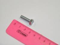 Болт М 6*25 многоцелевой (уп.10 шт.) (БелЗАН) Болт М 6*25 многоцелевой (уп.10 шт.) (БелЗАН)