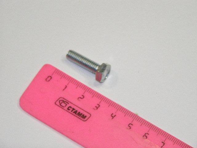 Болт М 6*25 многоцелевой (уп.10 шт.) (БелЗАН)