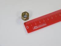 Гайка М10*1 оси коромысел /Г-3302/ (Красная Этна) Гайка М10*1 оси коромысел /Г-3302/ (Красная Этна)