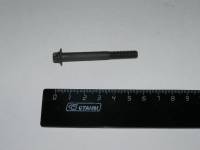 Болт М 6*53 крепл распредв крышки ГБЦ /2112/ Torx (уп.10 шт.) (БелЗАН) Болт М 6*53 крепл распредв крышки ГБЦ /2112/ Torx (уп.10 шт.) (БелЗАН)