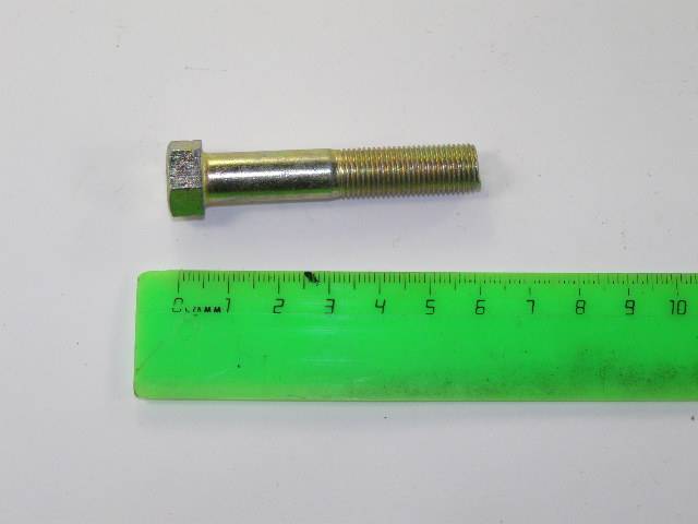 Болт развал-схожд. /Г-3102,31029,3110/ нижн. (под ключ)М 10*55 (Форум-НН)