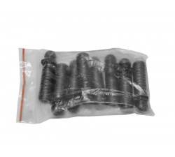 Винт регулировки клапанов /Г-3302 Бизнес/ с гайкой Евро-4 (8 шт) (Riginal)