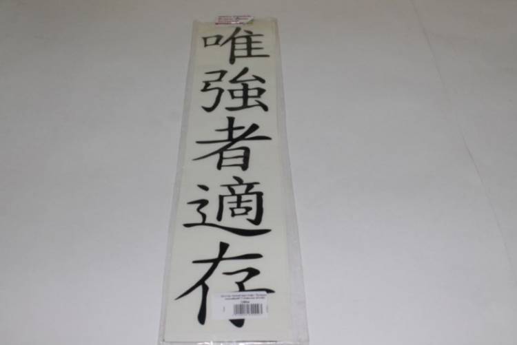 Наклейка плоттер иероглиф "Выживает сильнейший" вырез. 5 символов (95*480) черный (уп. 5 шт) (A-STICKER)