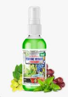 Освежитель (ароматизатор) спрей Perfume Voyager Fruit Mint 110мл