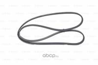 Ремень генератора Hyundai Accent Tucson /4PK875/ Ремень генератора Hyundai Accent Tucson /4PK875/