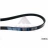 Ремень приводной 4PK0815 кондиционера Accent 1.6, Elantra 1.6, Rio 1.4/1.6, Cerato 1.6, ВАЗ 2123 Шеви-Нива 4-ручьевой (Dongil)