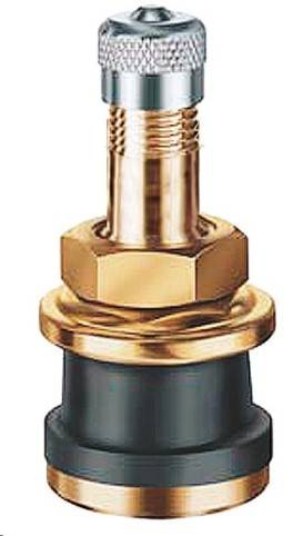 Вентиль бескамерный 31мм прямой (для грузовых а/м) (Rossvik)