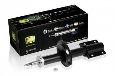 Стойка Fiat Ducato Peugeot Boxer Citroen Jamper до 2017 г. перед. (свыше 1500 кг) (TRIALLI)