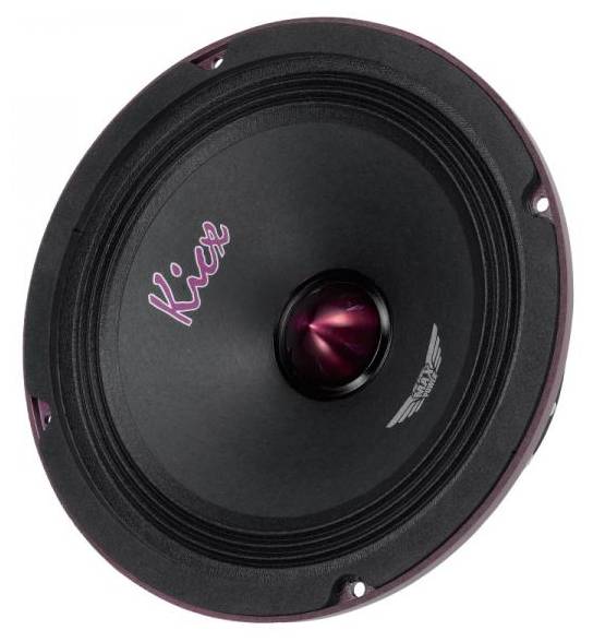 Динамик PRO 8A 20см СЧ/НЧ-динамик 200Вт