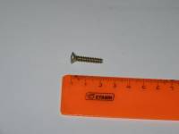 Саморез ф4,3*22 п/потай (уп.10 шт.) (БелЗАН) Саморез ф4,3*22 п/потай (уп.10 шт.) (БелЗАН)