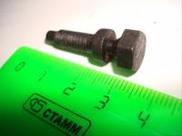 Болт замка зажигания /2108-10, Ока/ обрезная головка (БелЗАН) Болт замка зажигания /2108-10, Ока/ обрезная головка (БелЗАН)