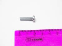 Винт М 4*18 цил. гол. и крест. шлиц (БелЗАН) Винт М 4*18 цил. гол. и крест. шлиц (БелЗАН)