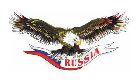 Наклейка Орел №11 Россия (33х70см)